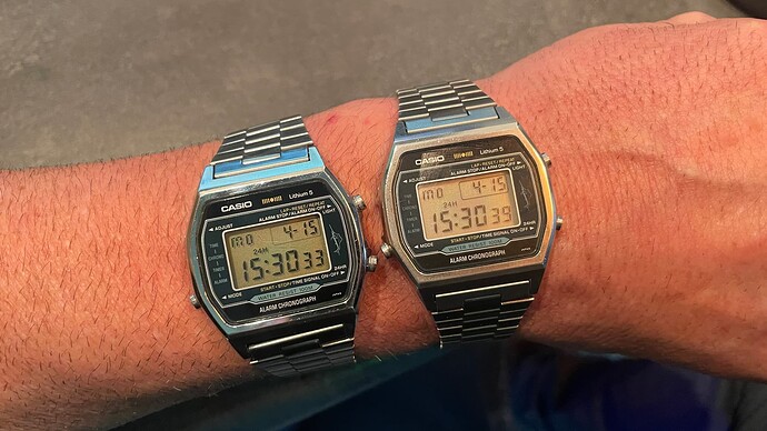 2x Casio