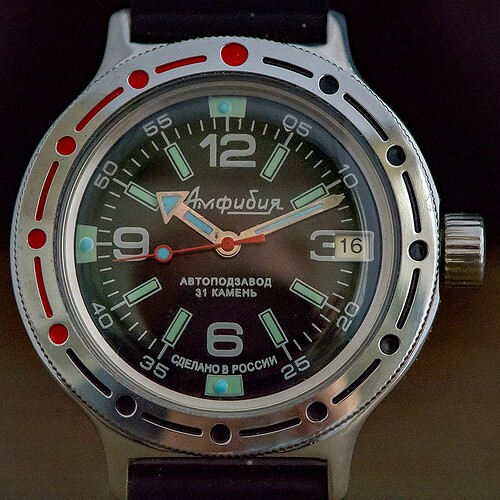 VOSTOK-5