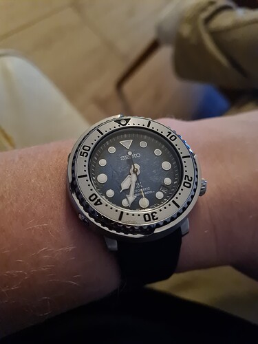 17287544327914301970990482958099