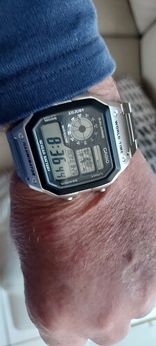 17246541820611935355375450132974