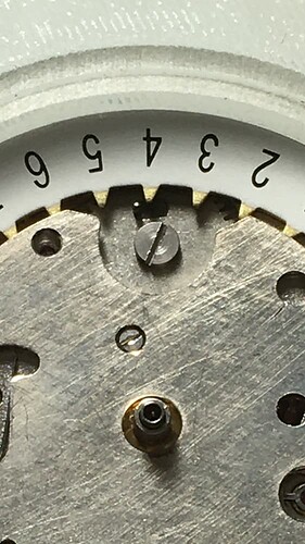 1731191614357779995269874474206