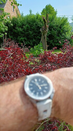 IMG20240501111627