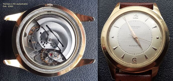 Tärnan LYX automatic