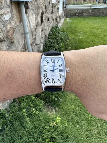 hamilton-boulton-mechanical-v0-i6b83jnwsf7b1