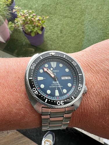 Padi