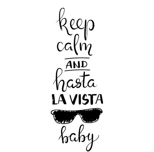 hasta-la-vista-baby-