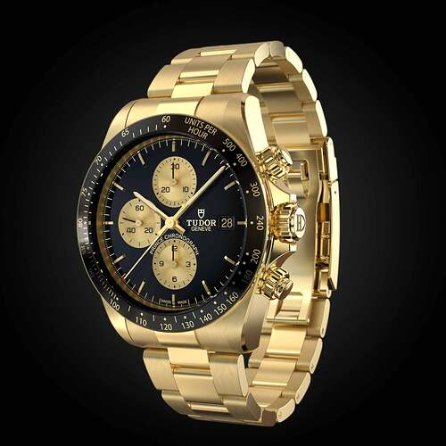 Tudor-Prince-Chronograph-One-Only-Watch-4
