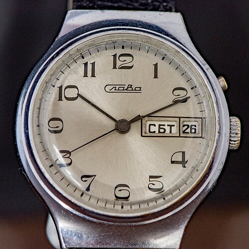 SLAVA-10