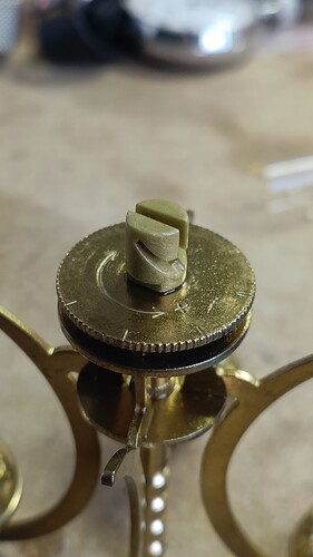 IMG20240128102302