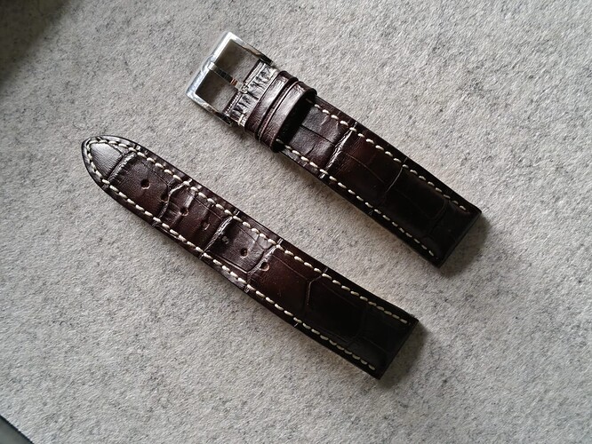 meistersinger croc
