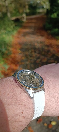 IMG_20241102_133124