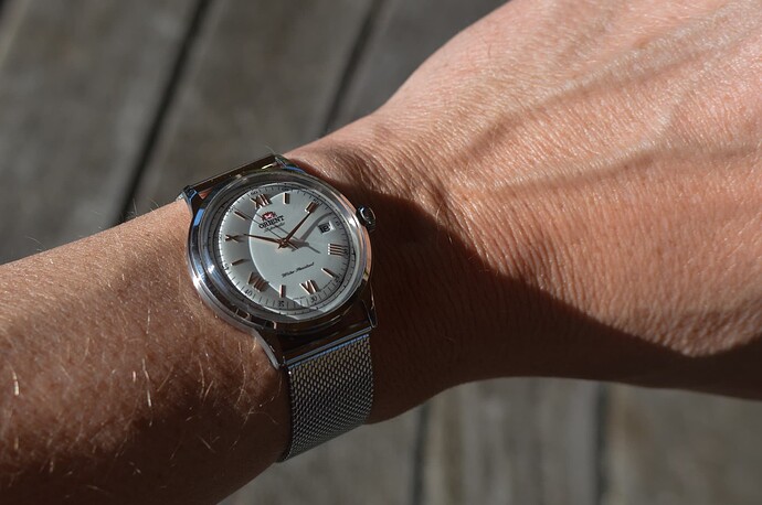 Orient Bambino Roman Numerals-15