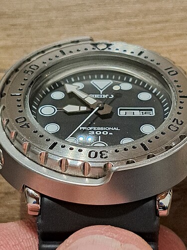 17053479424026613640825201315433