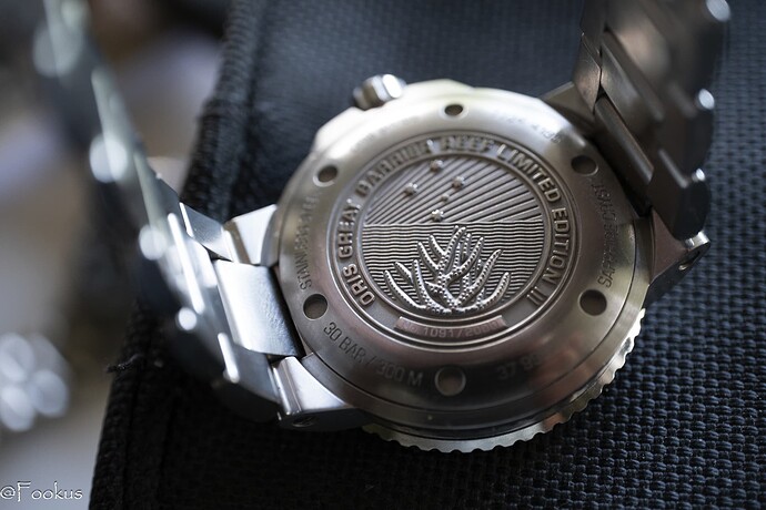 oris aquis (2 of 9)