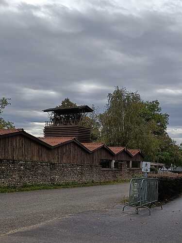 IMG-20241007-WA0031