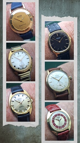 20240712_114459-COLLAGE
