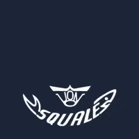 squale_loading