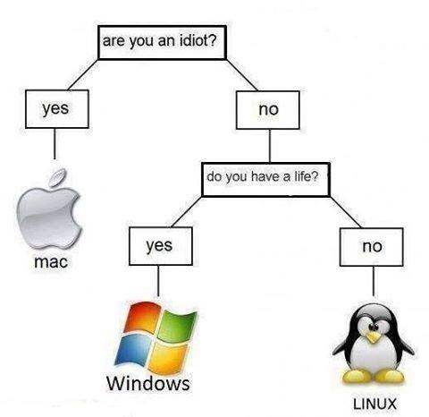 windows