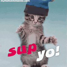sup-whats