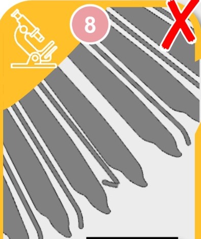 0fe71522-28ac-4292-8073-2f2403c13874